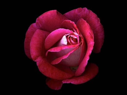 I have unlimited potential  