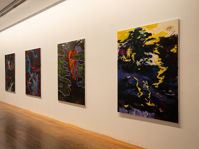 Mariana Gomes, exhibition view. Courtesy of MARCO