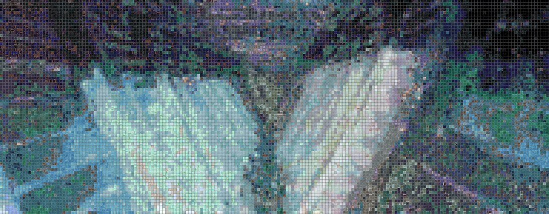 Simone Ferrero, The whispering abys﻿s, 2024. Courtesy of Simone Ferrero