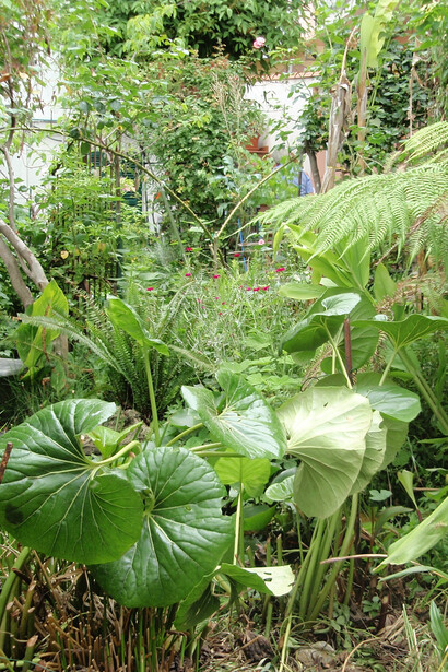 Il giardino di Libereso a Sanremo