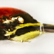 Galerie Claude Samuel