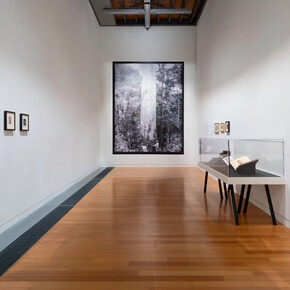 A different light, first photographs of Aotearoa, exhibition view. Courtesy of Te Pātaka Toi Adam Art Gallery