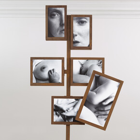 Charlotte Colbert, Toute Seule, Exhibition view. Courtesy of Gazelli Art Hause