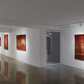 Marcos Chaves, Blue blood, exhibition view. Courtesy of Nara Roesler Gallery