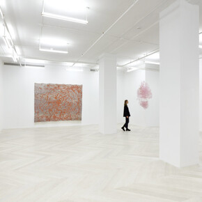 Igshaan Adams, Verkenning, exhibition view. Courtesy of Casey Kaplan Gallery