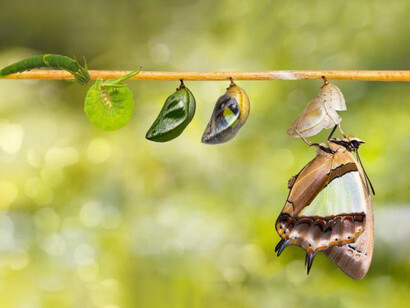Some futurists take brilliant leaps of imagination, analogizing from nature’s biological phenomena