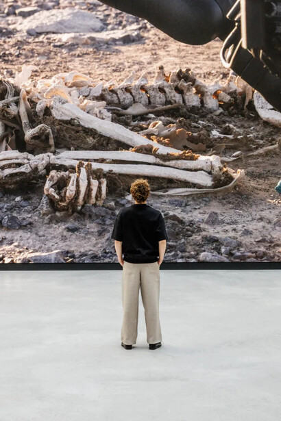 Pierre Huyghe, vue d'exposition. Avec l'aimable autorisation de la Bourse de Commerce