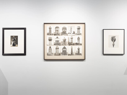 Various artists, Photographer as sculptor, sculptor as photographer, exhibition view. Courtesy of Bruce Silverstein Gallery