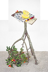 Still | Life | Like. Courtesy of Carrie Haddad Gallery