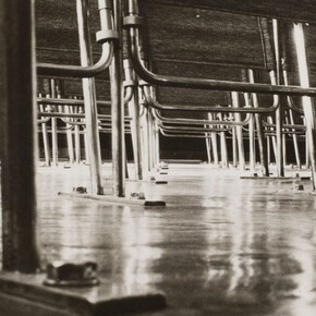 An Ideal Unity. Courtesy of NOMA