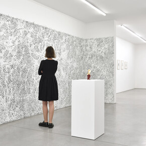 Giuseppe Penone, Envelopper la Terre, vue d'exposition. Avec l'aimable autorisation de la Galerie Marian Goodman