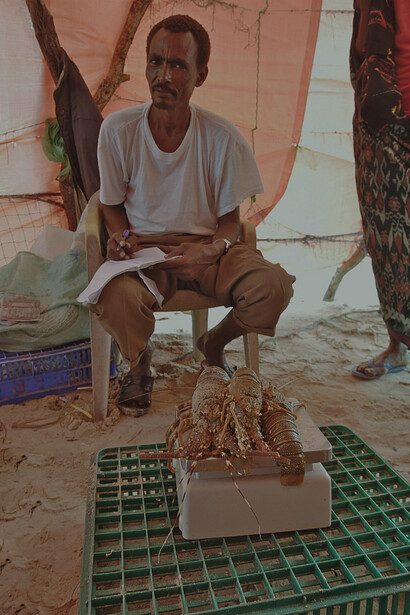 Mare ricco di aragoste