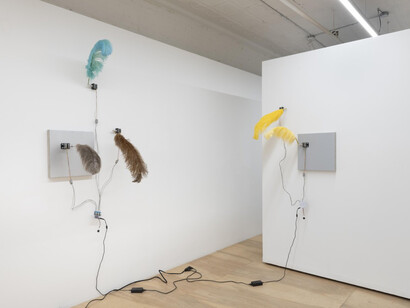 Robert Sandler, Symphony for a Good Boy, 2023, installation view. Courtesy of the artist and Kai Matsumiya, NYC