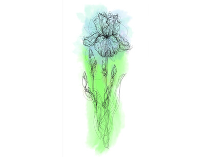 Michel Paysant, De la suite Eden : flâneries numériques à giverny extraits des carnets d'Étude Iris, 2025. Per gentile concessione del Museo dell'Orangerie