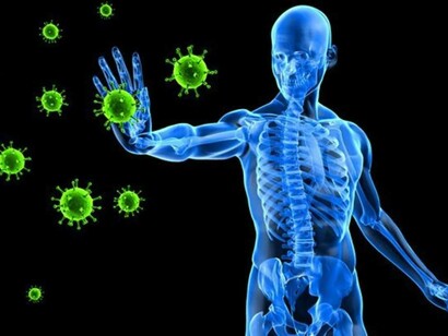 The immune system stopping the spread of viruses to the body