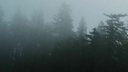 Copertina di The High Country