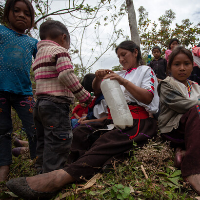 Familias indígenas desplazadas de sus hogares, viven en campamentos improvisados en la selva. Fotografía del Centro de Derechos Humanos Fray Bartolomé de Las Casas