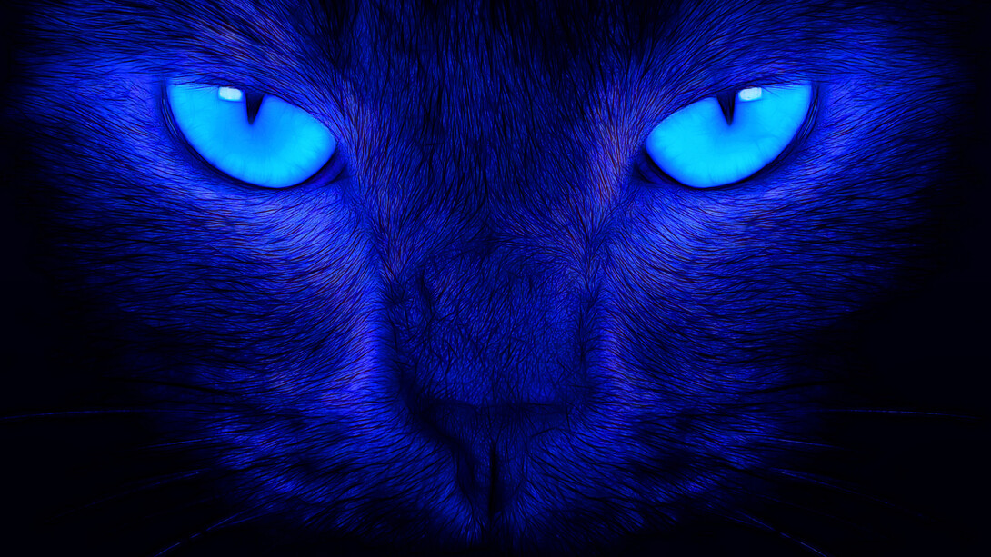 Predator(Editing artistico). Ph Sergio Pessolano