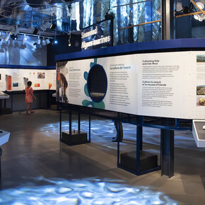 Aquaculture, cultiver les eaux, vue d’exposition. Avec l’aimable autorisation d’Ingenium. Musée de l’agriculture et de l’alimentation du Canada