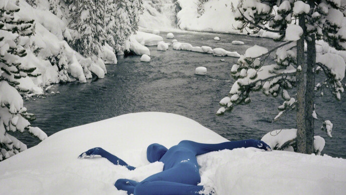 Orchid. seasons - winter. Courtesy of Crush Curatorial