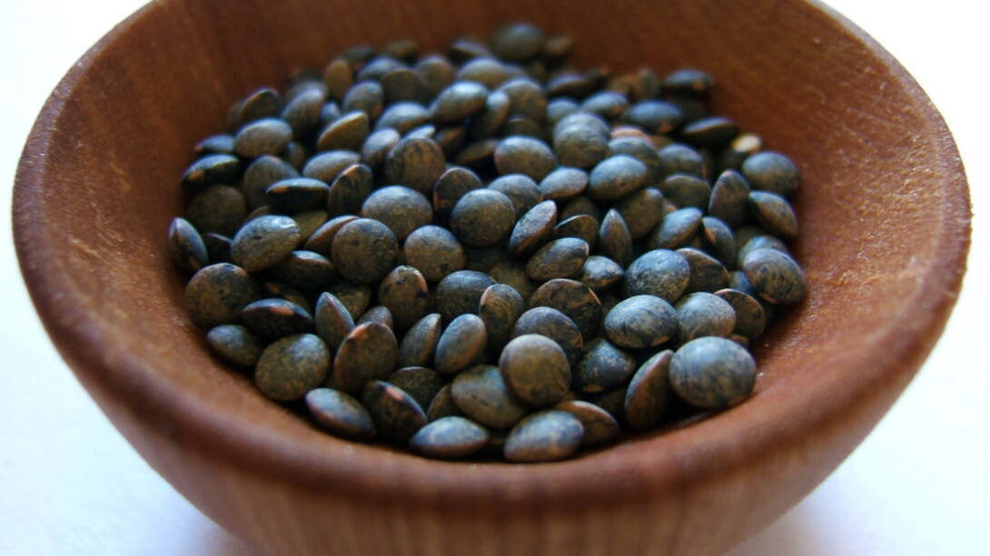 Puy lentils © Jessica Spengler