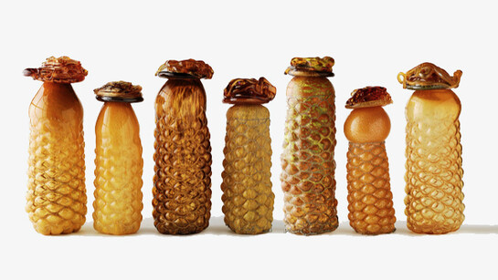 Judi Harvest. Courtesy of David Krut Projects