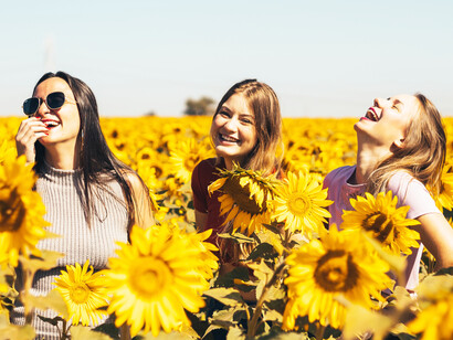 Three friends in a sunflower field; the laughter of the spirit is so provocative and free