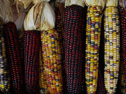 Different types of grain. The Eswatini diet is based on tinhlavu (grains)