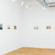 Henry Murphy, The sunbird, exhibition view. Courtesy of Fleisher/Ollman