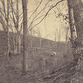 East of the Mississippi: Nineteenth-Century American Landscape Photography. Courtesy of National Gallery of Art 
