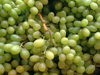 Uva da tavola
