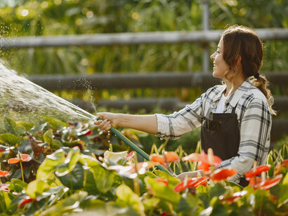 The garden will bloom again, but first the soil must be broken open