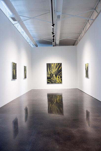 Installation Shot, Ann Stautberg, Interlude, 2023. Courtesy of Barry Whistler Gallery. Photo by Allison V. Smith
