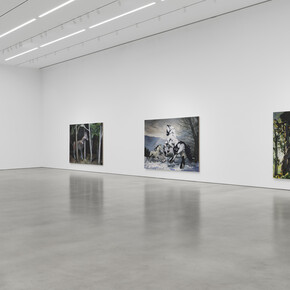 Emma Webster, Rues and leaves themselves alone, exhibition view. Courtesy of Petzel Gallery