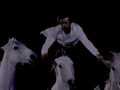 Cheval Passion