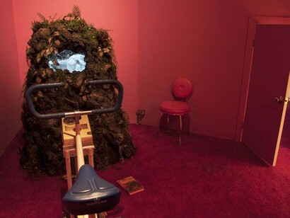 The man who saved a dog from an imaginary fire, Exhibition view. Courtesy of Wilding Cran Gallery