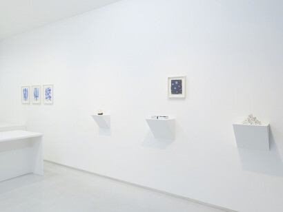 Satoshi Hirose, Exhibition view. Courtesy of Tomio Koyama Gallery