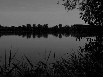 Nel nostro bel paesaggio fluviale, tra il Po e lo Scrivia, suo affluente