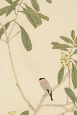 Imamura Shiko, Bullfinch in a loquat (detail). Courtesy of Yokohama Museum of Art