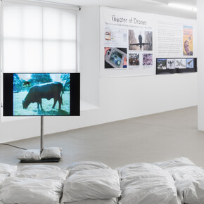 Born To Be Sold: Martha Rosler Reads the Strange Case of Baby $/M, Martha Rosler, 1988, Video, Farbe, Ton, 35:00 Min. Courtesy of Galerie Nagel Draxler, Berlin. Gallery Mitchell-Innes & Nash, New York