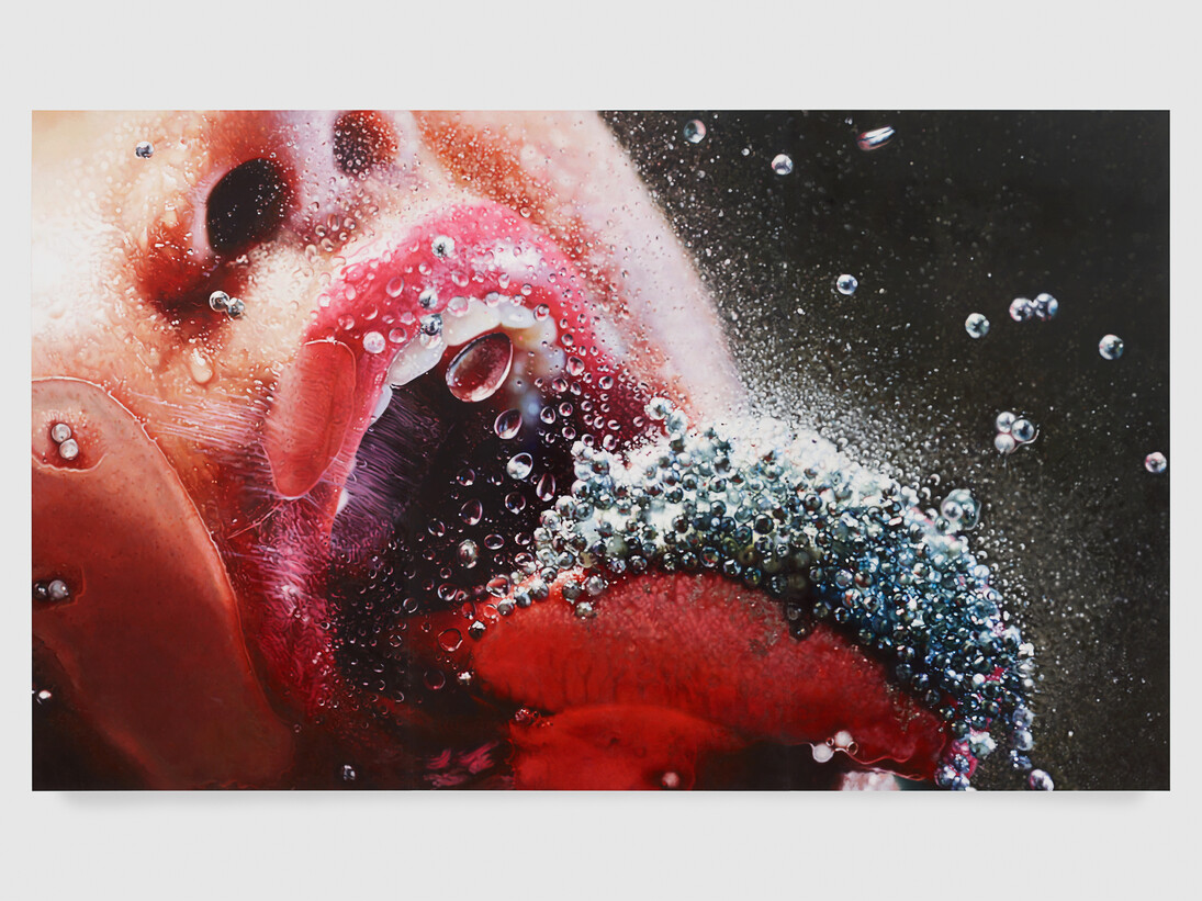 Marilyn Minter, Pop Rocks, 2009, Enamel on metal, 9 x 15 feet, Private collection