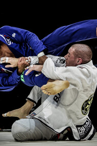 The Brazilian Jiu-Jitsu 