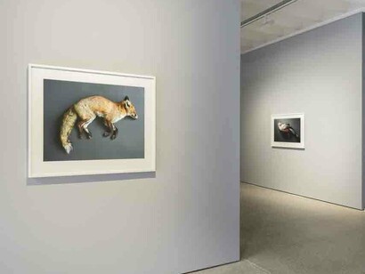 Thomas Struth. Courtesy of Galerie Greta Meert