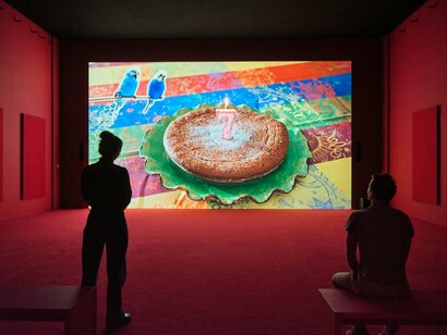 Camille Henrot, In the veins, exhibition view. Courtesy of LUMA Arles
