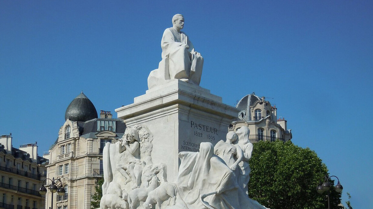 Louis Pasteur sauvait les vers à soie