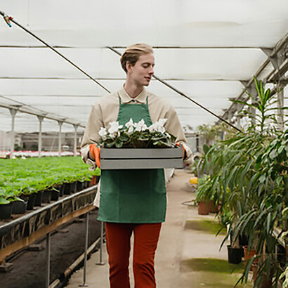 A farmer inspects his crops, reflecting the challenges of agriculture’s contribution to greenhouse gas emissions