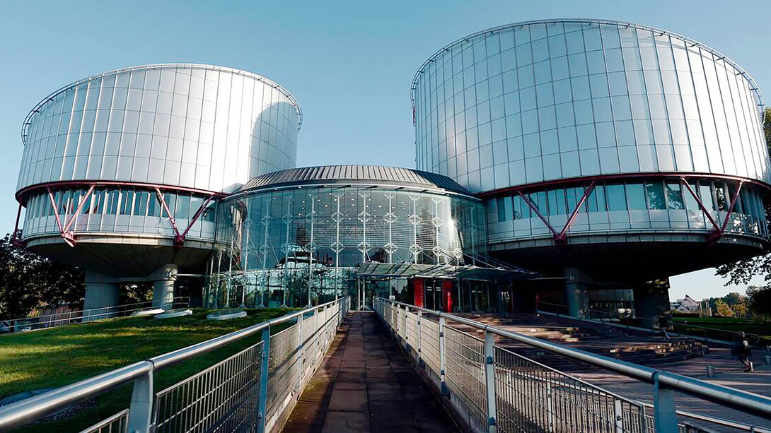 La Cour européenne. La Commission européenne a créé un groupe de haut niveau d'universitaires pour réfléchir à l''avenir de la protection sociale