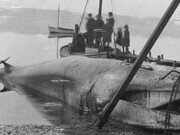 Tacita Dean, The story of Minke the whale, 2001, from The russian ending. Courtesy of Fotomuseum Winterthur