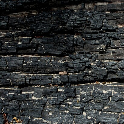 Il mestiere del carbonaio sopravvive ancora in alcune zone montuose, portato avanti con dedizione da chi non vuole lasciare morire una tradizione secolare