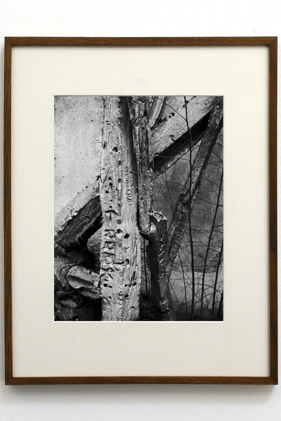 João Penalva, Martin y Ana, Silver bromide print on Ilford Warm Tone Glossy fibre paper, card, oak frame and museum glass, 57 x 46,5 cm, 2014